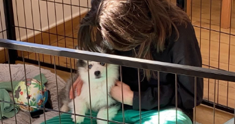 Mathilde pet sitter à ST BRICE SOUS FORET 95350_0