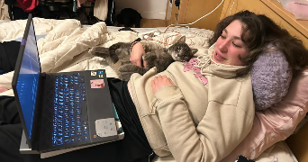 armony pet sitter à DRANCY 93700_1