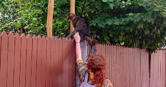 dana pet sitter à NANTES 44000_3