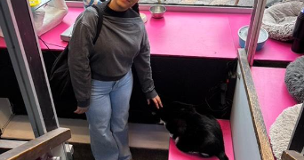emma pet sitter à ST GRATIEN 95210_3