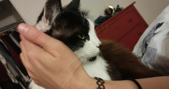 verena pet sitter à Clermont-Ferrand 63100_8