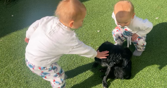oihana pet sitter à CORNEILHAN 34490_2
