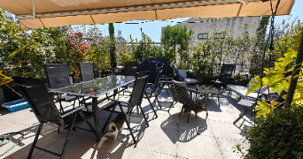 romain cat sitter à PARIS 12 75012_1