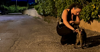 eleonore pet sitter à LYON 06 69006_4