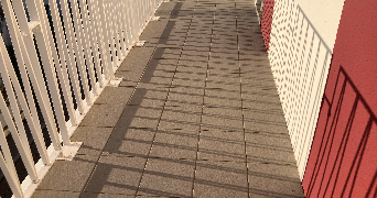 shani pet sitter à BORDEAUX 33300_7