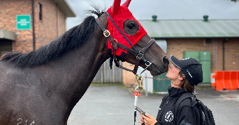 alexia pet sitter à SOISY SUR SEINE 91450_5