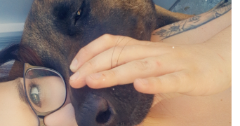 laura pet sitter à THIESCOURT 60310_0
