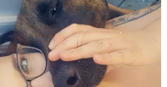 laura pet sitter à THIESCOURT 60310