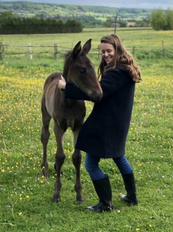 camille pet sitter à NOGENT LE ROTROU 28400_0
