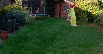audrey pet sitter à NIEPPE 59850_2