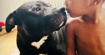 lou-ann pet sitter à Villeurbanne 69100_9