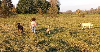 Anaïs pet sitter à Illkirch-Graffenstaden 67400_4