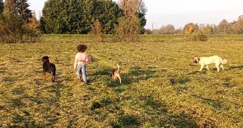 Anaïs pet sitter à Illkirch-Graffenstaden 67400