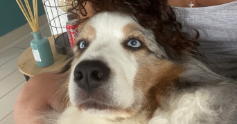 lola pet sitter à LYON 08 69008_1