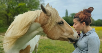 marie pet sitter à PLOUMILLIAU 22300_6