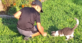 julie pet sitter à MENETROL 63200_5