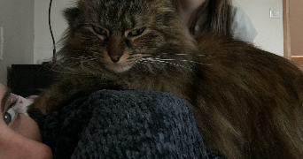 Alizée pet sitter à PARIS 13 75013_1