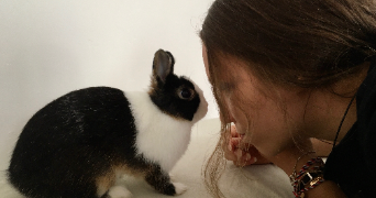 sarah pet sitter à MONTPELLIER 34000_2