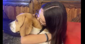 linsart pet sitter à THIMERT GATELLES 28170_4