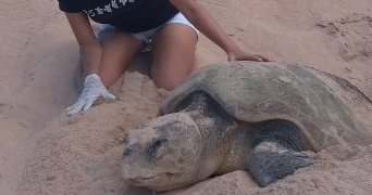 erika pet sitter à LA CIOTAT 13600_3