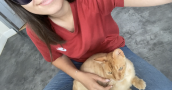 romane pet sitter à POITIERS 86000_5