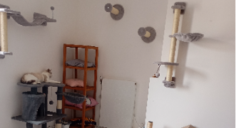 julie pet sitter à Nogent-sur-Oise 60180_3