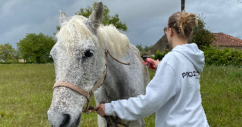 julie pet sitter à ST CYR DES GATS 85410_0