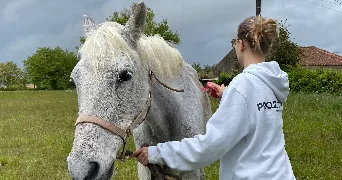 julie pet sitter à ST CYR DES GATS 85410