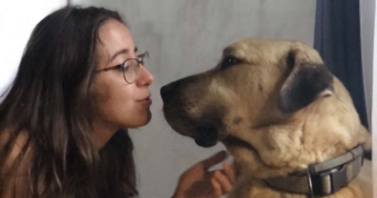phibie pet sitter à FRETEVAL 41160_1