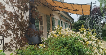 jaime pet sitter à MAUREPAS 78310