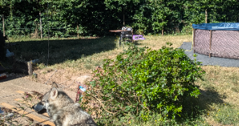 elise et sébastien pet sitter à BOURTH 27580_8