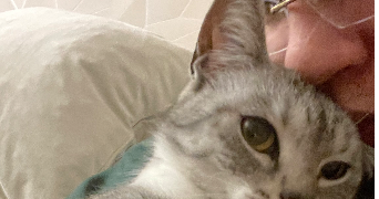 bilal pet sitter à LES AGEUX 60700_0