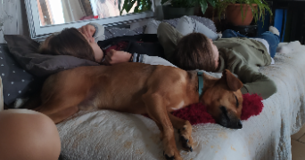lucie pet sitter à CAEN 14000_3