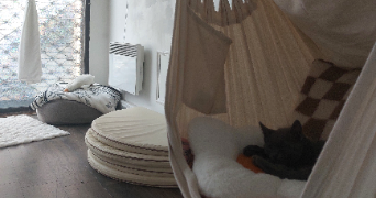 sabrina pet sitter à TOULOUSE 31500_1