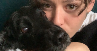 victoria pet sitter à REIGNAC 33860_6