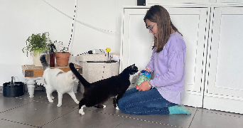 julie pet sitter à DIJON 21000_5