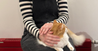 jazz pet sitter à PARIS 12 75012_1