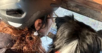 nina pet sitter à ASNIERES SUR SEINE 92600