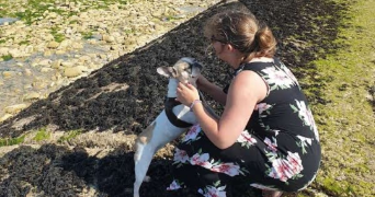 alison pet sitter à LE PLESSIS ROBINSON 92350_2