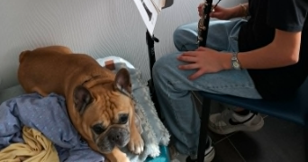myriam et bruno pet sitter à BREST 29200_7
