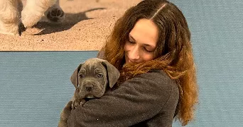 marine pet sitter à LE MANS 72100