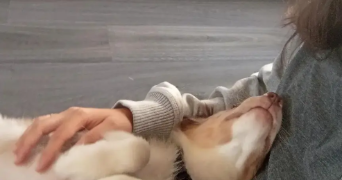 rocio pet sitter à DECINES CHARPIEU 69150_1