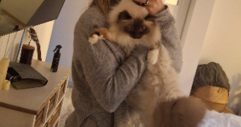 corentine pet sitter à SIVRY ANTE 51800_7