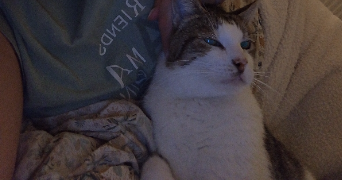 aurelie pet sitter à Cagnes-sur-Mer 06800_11