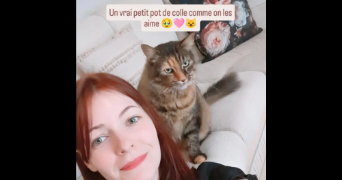 mélodine pet sitter à LA CHAPELLE DES FOUGERETZ 35520_5