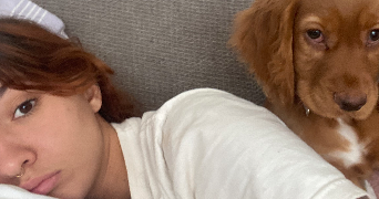 jade pet sitter à VENDRES 34350_5