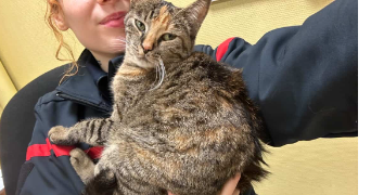 lydie pet sitter à VALENCE 26000_1