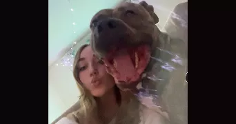 laure pet sitter à GRASSE 06130
