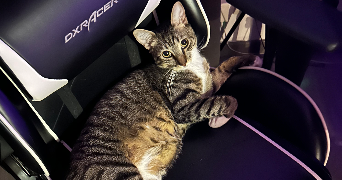 camille pet sitter à MONTPELLIER 34070_2