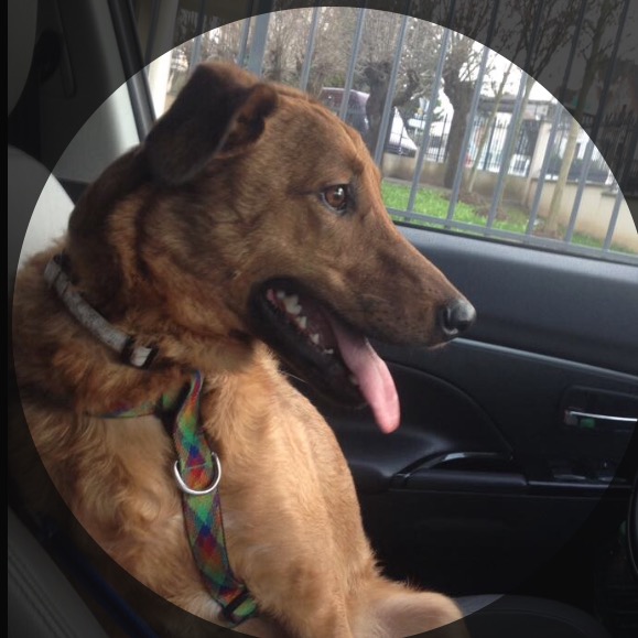 océane pet sitter à Le Perreux-sur-Marne 94170_2